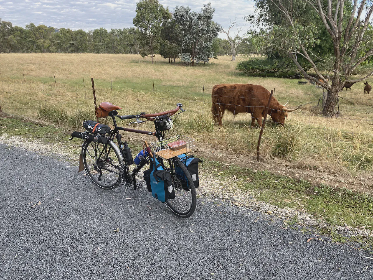 Stopping for a photo with this beautiful hairy coo