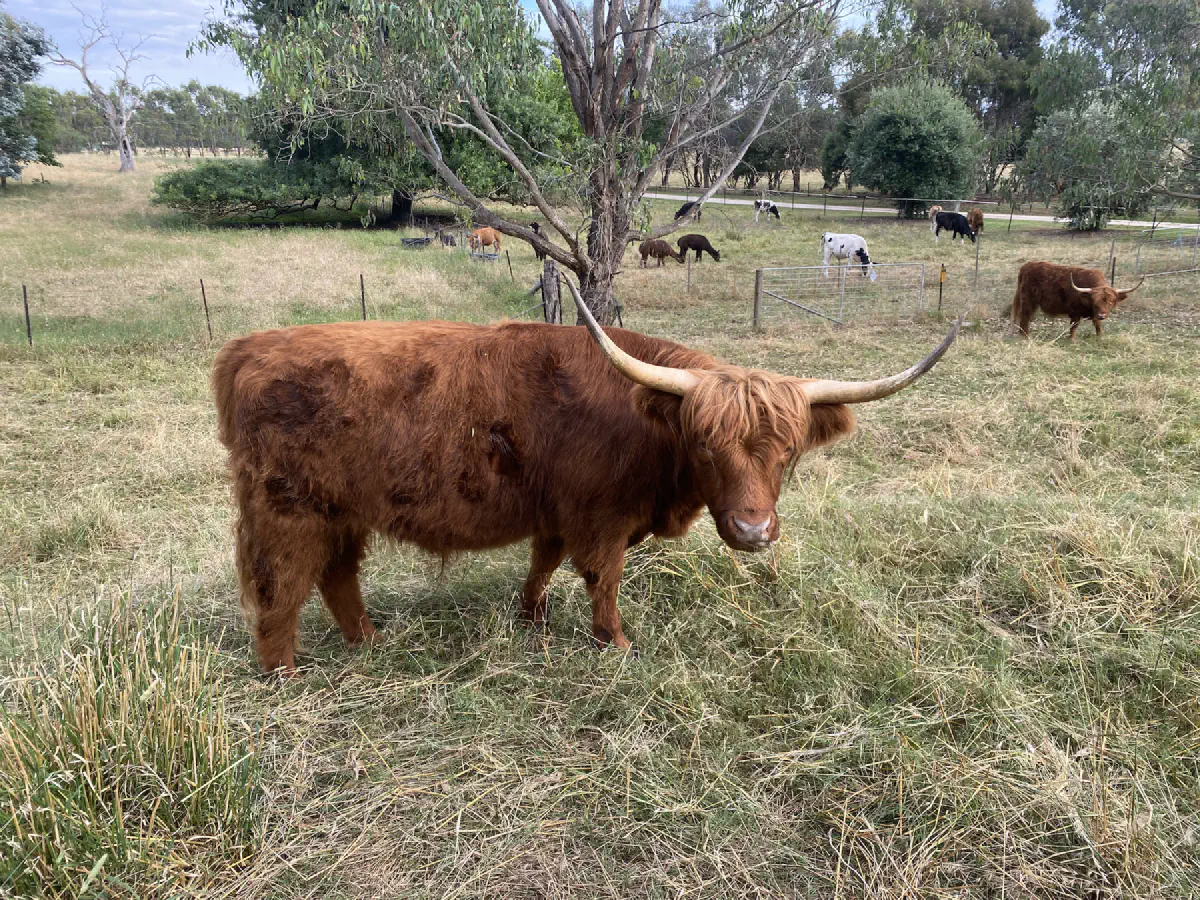 Roaming around Wodonga/Albury