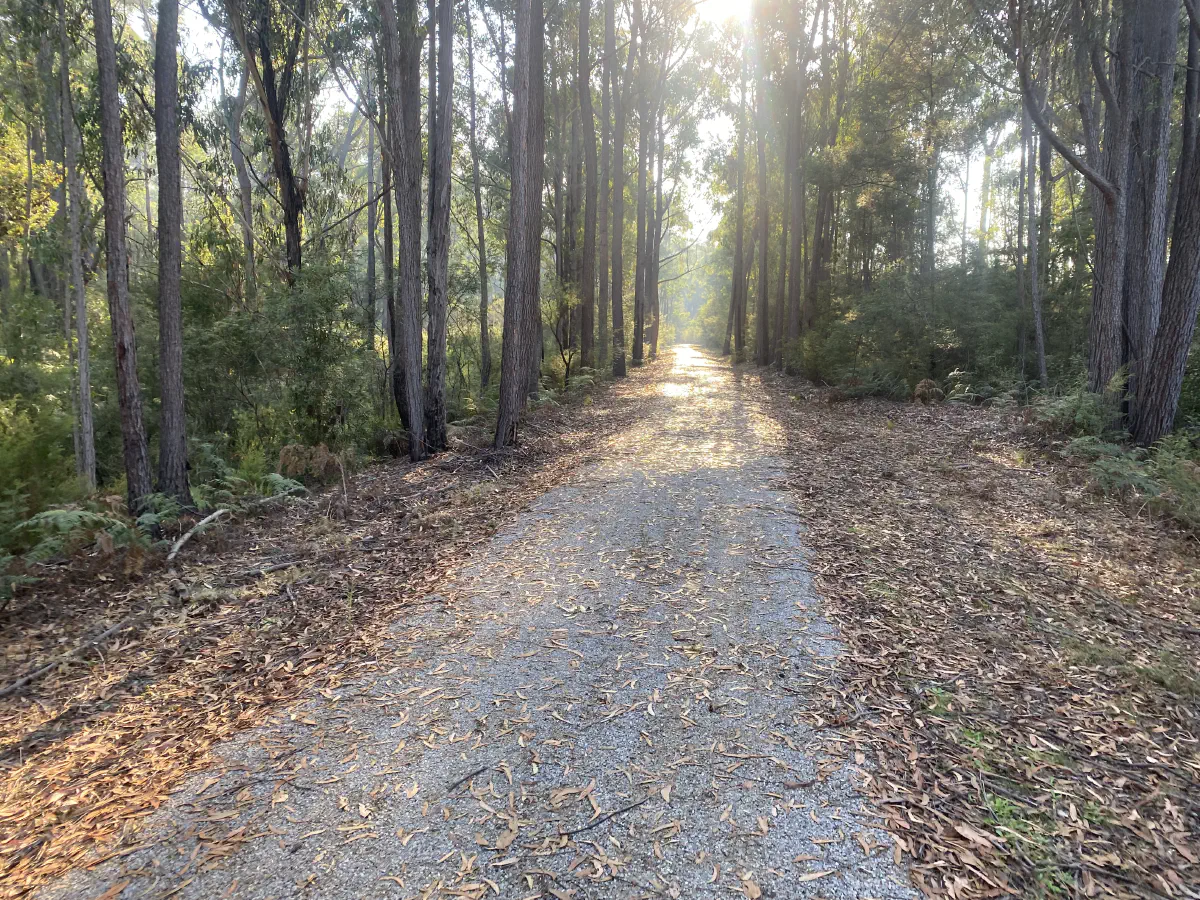 Boggy Creek to the Snowy River