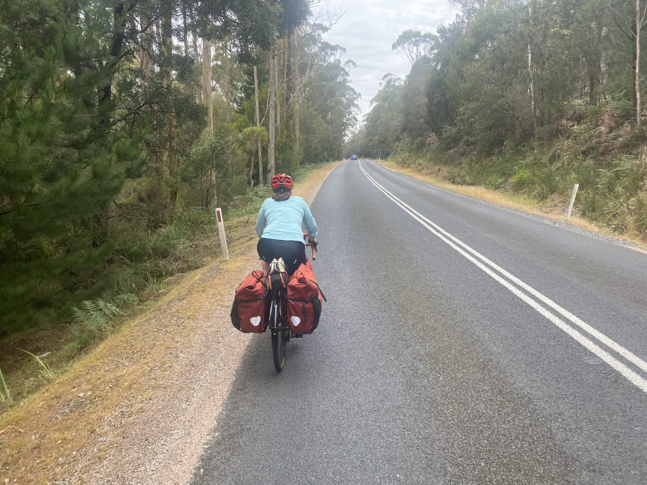 Riding in the forested hills