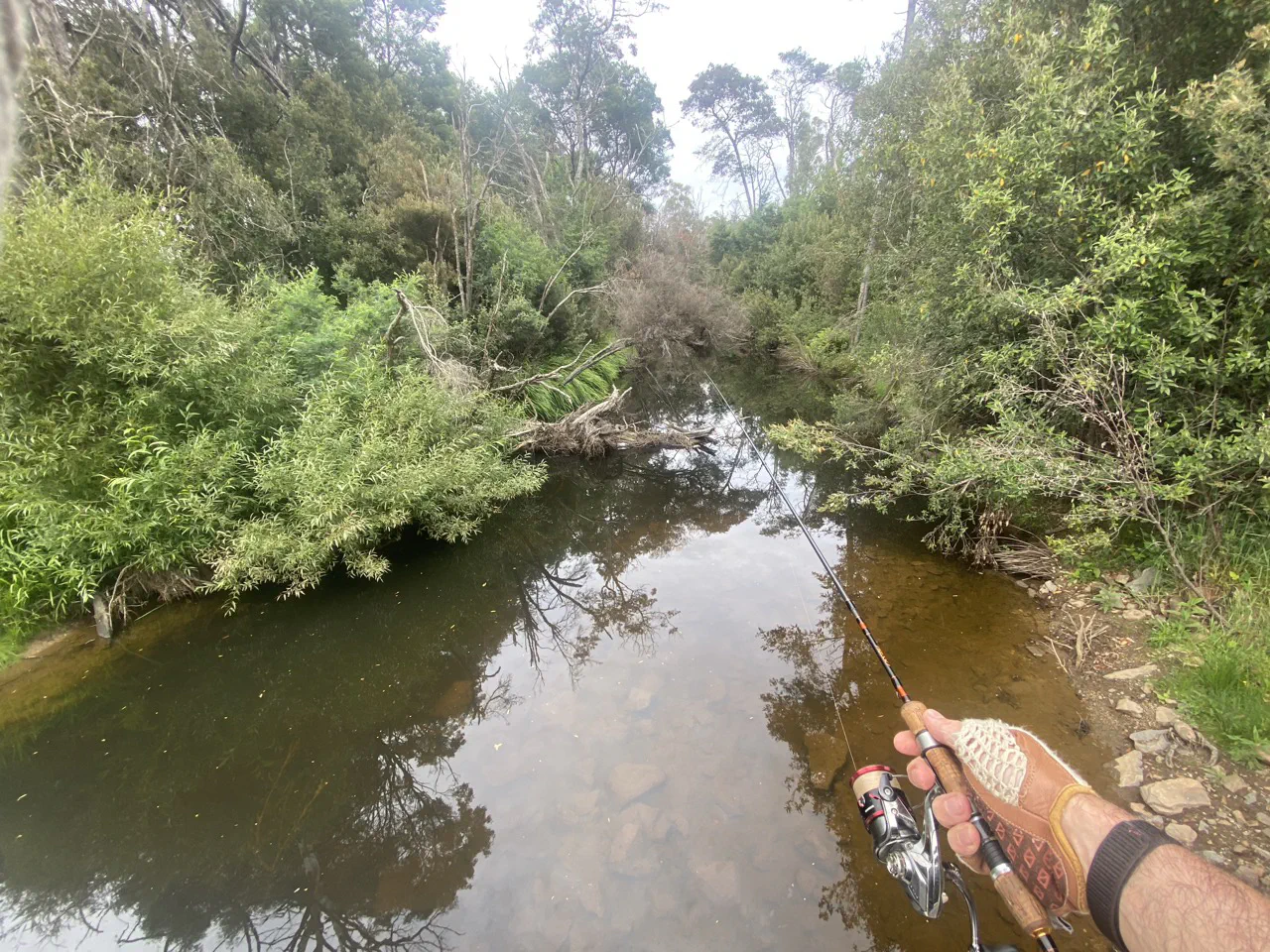Fishing at a rest stop along the way