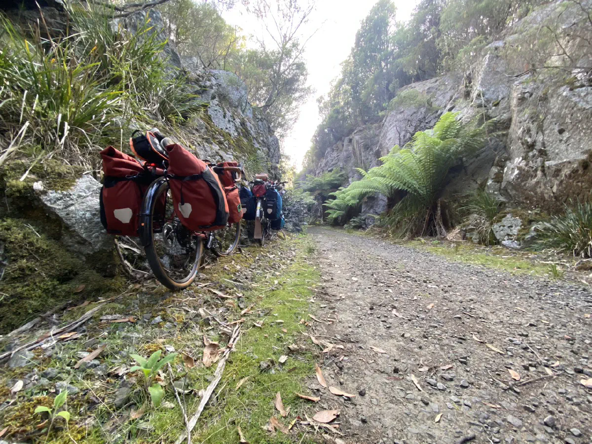 The North East Tasmanian Rail Trail